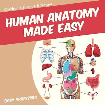 Human Anatomy Made Easy - Children's Science & Nature