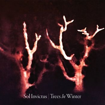 Sol Invictus - Trees In The Winter [Digipack]
