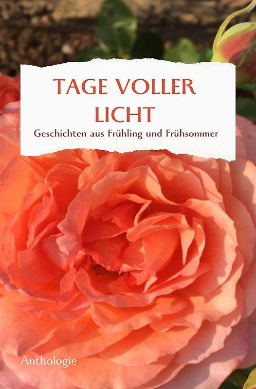 Monatsgeschichten / TAGE VOLLER LICHT