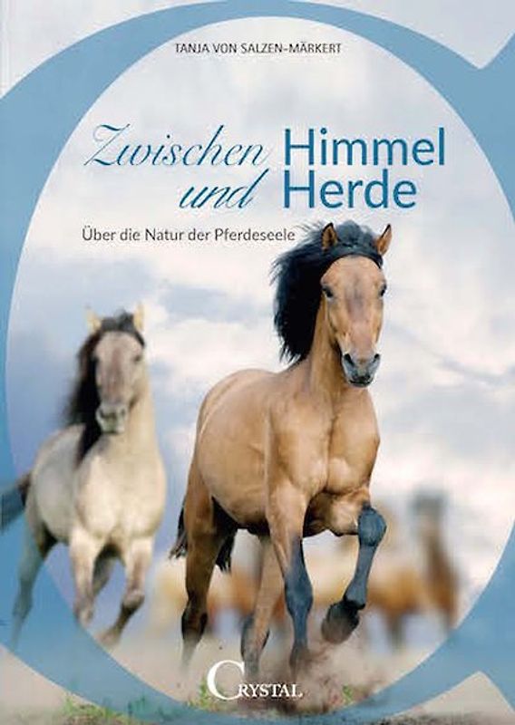 Zwischen Himmel und Herde