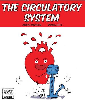 The Circulatory System