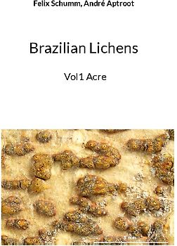 Brazilian Lichens