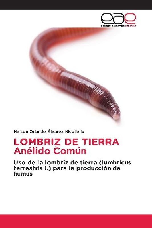 LOMBRIZ DE TIERRA Anélido Común