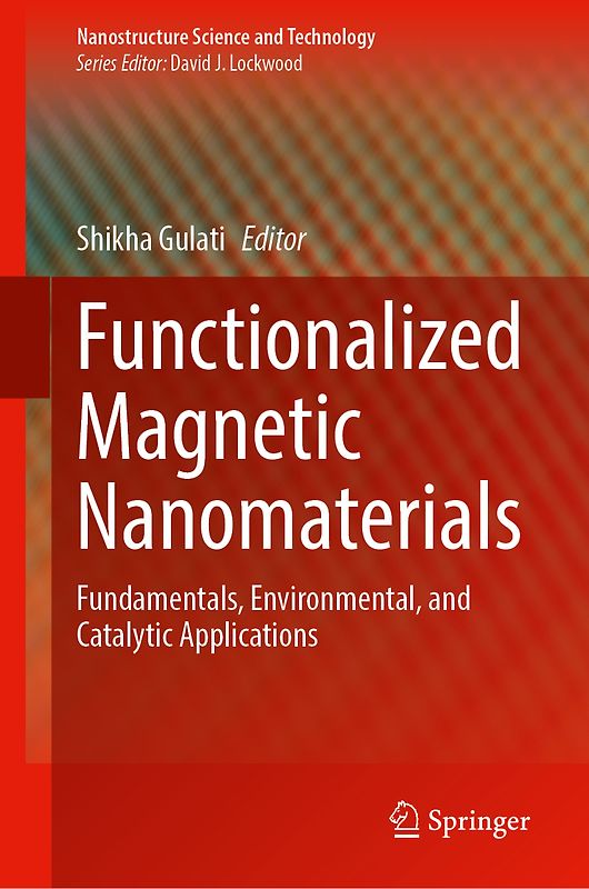 Functionalized Magnetic Nanomaterials