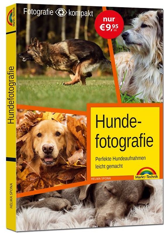Hundefotografie - das perfekte Hunde Foto