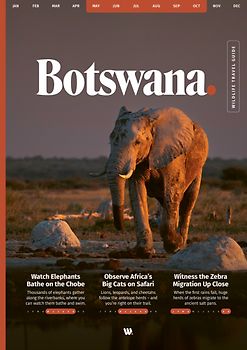 WILDFUL STORIES Wildlife Travel Guide Botswana with the Okavango Delta