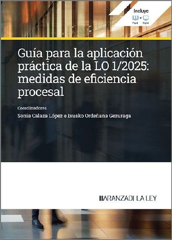 Guía para la aplicación práctica de la LO 1/2025: Medidas de eficiencia procesal