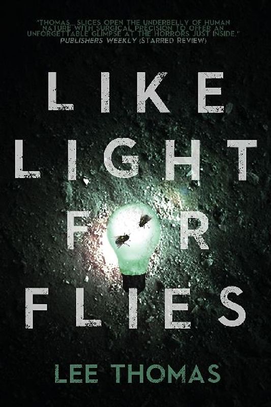 Like Light for Flies