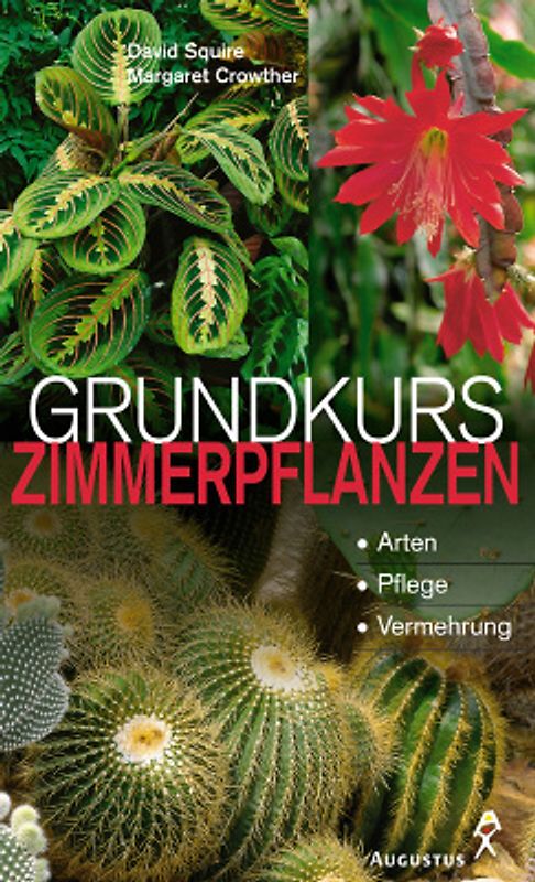 Grundkurs Zimmerpflanzen
