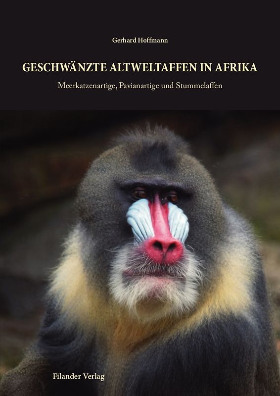 Geschwänzte Altweltaffen in Afrika
