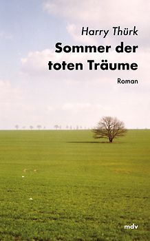Sommer der toten Träume. Roman