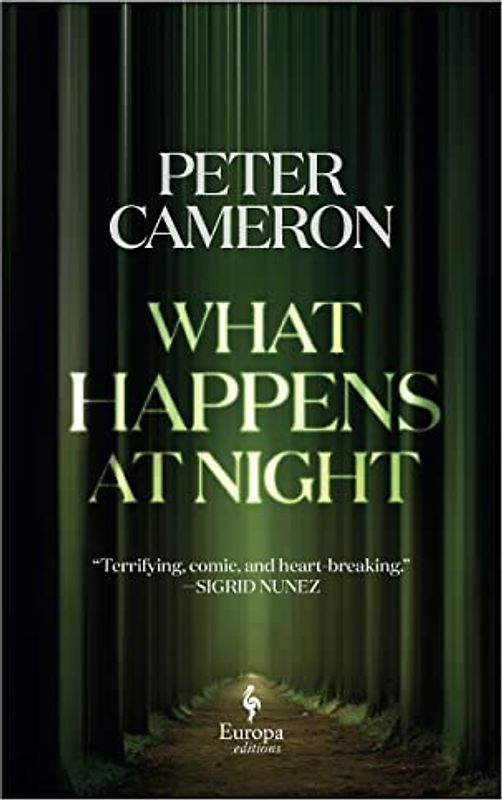 What Happens at Night