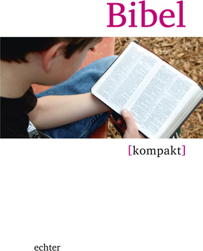 Bibel kompakt