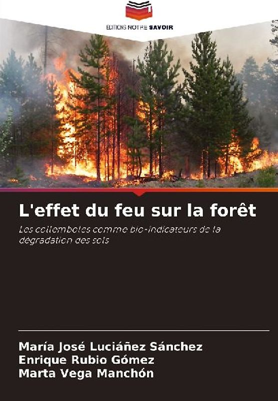 L'effet du feu sur la forêt