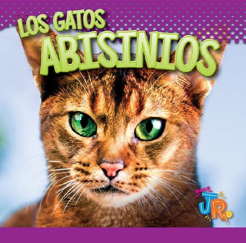 Los Gatos Abisinios