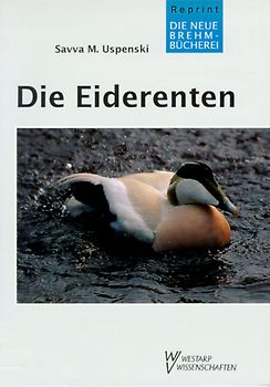 Die Eiderenten