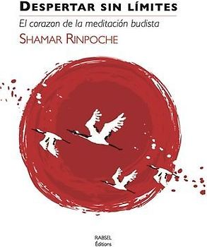 Despertar Sin Limites