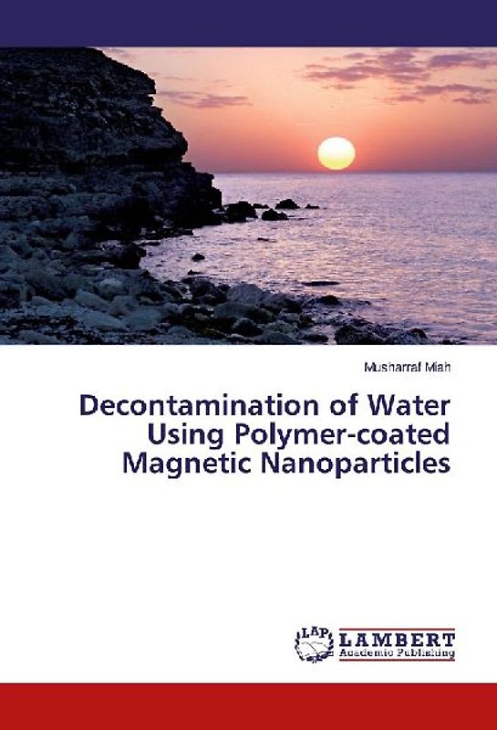 Decontamination of Water Using Polymer-coated Magnetic Nanoparticles