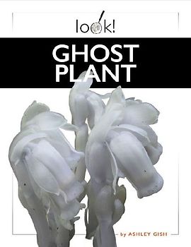 Ghost Plant