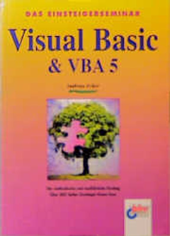 Visual Basic & VBA 5