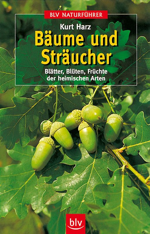 Bäume und Sträucher