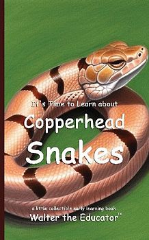 It's Time to Learn about Copperhead Snakes