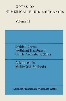 Advances in Multi-Grid Methods