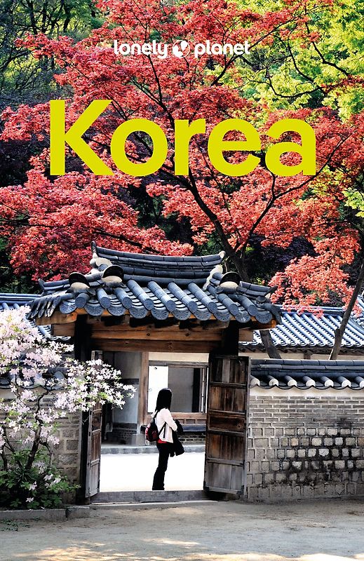 LONELY PLANET Reiseführer Südkorea