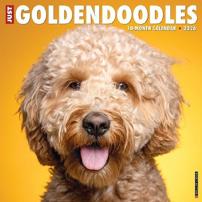 Goldendoodles 2026 12 X 12 Wall Calendar