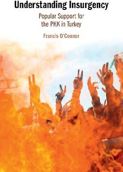 Understanding Insurgency