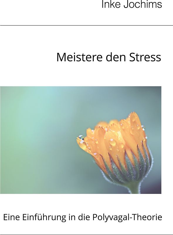 Meistere den Stress