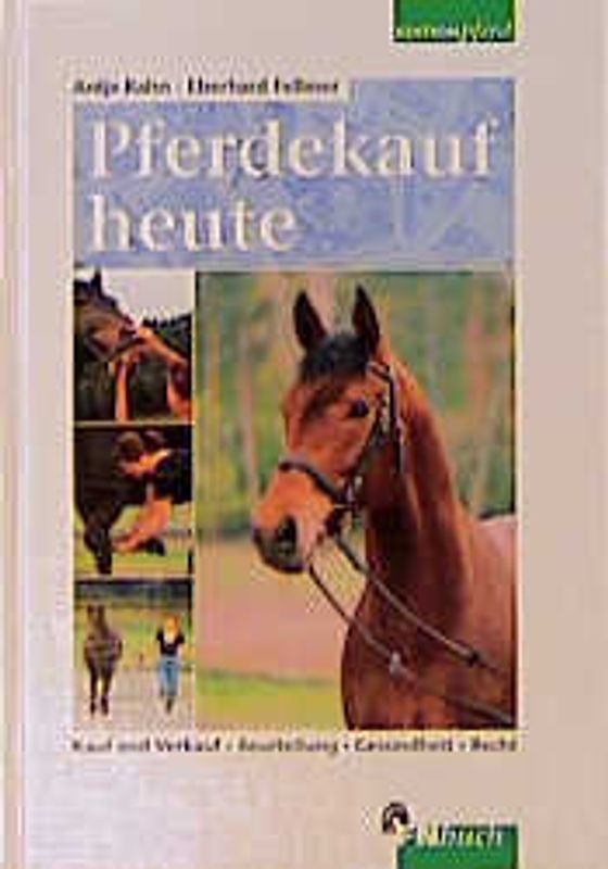 Pferdekauf heute