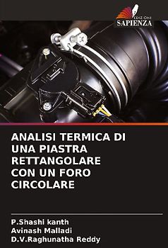 ANALISI TERMICA DI UNA PIASTRA RETTANGOLARE CON UN FORO CIRCOLARE