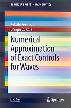 Numerical Approximation of Exact Controls for Waves
