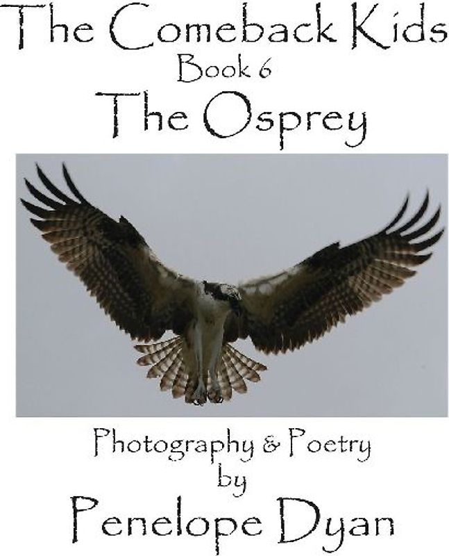 The Comeback Kids, Book 6, The Osprey
