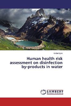 Human health risk assessment on disinfection by-products in water