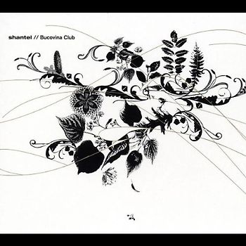 Various - Shantel: Bucovina Club