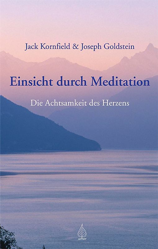 Einsicht durch Meditation