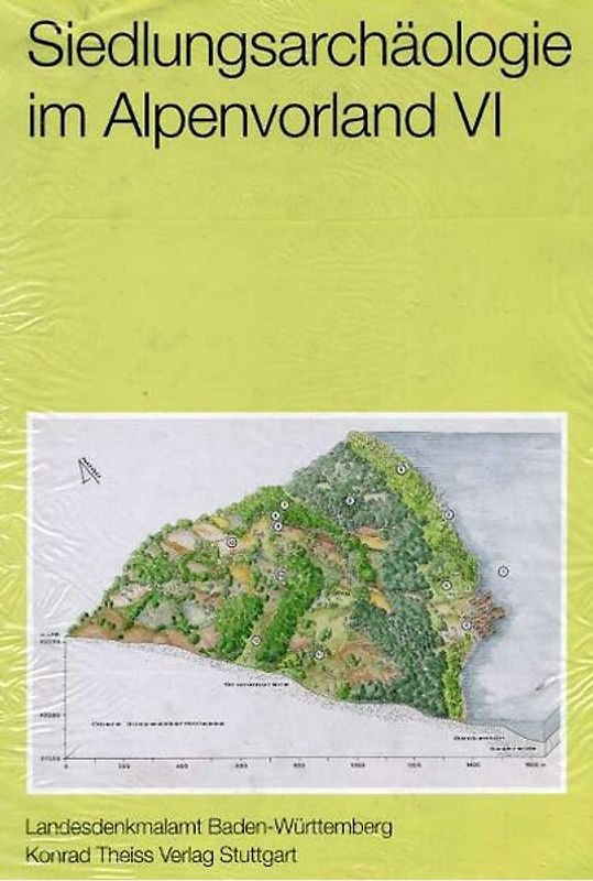 Siedlungsarchäologie im Alpenvorland VI