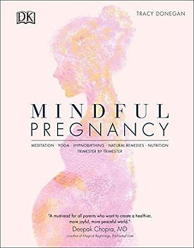 Mindful Pregnancy: Meditation, Yoga, Hypnobirthing, Natural Remedies and Nutrition