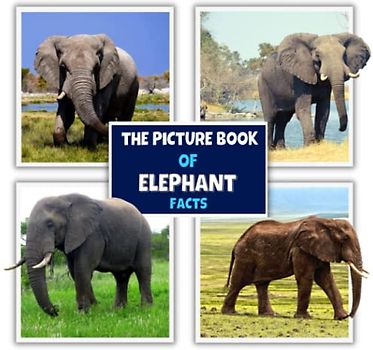 The Picture Book of Elephant Facts: A Fun and Informative Photos with Fun Facts Book for Kids (A Colorful Picture Book for Kids)