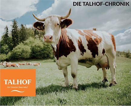 Die Talhof-Chronik