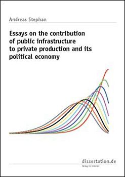 Essays on the contribution of public infrastructure to private production and its political economy