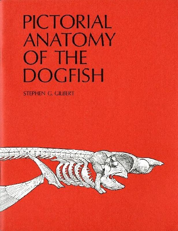 Pictorial Anatomy of the Dogfish