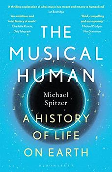 The Musical Human
