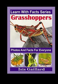 Grasshoppers Photos and Facts for Everyone: Animals in Nature