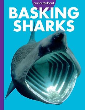 Curious about Basking Sharks