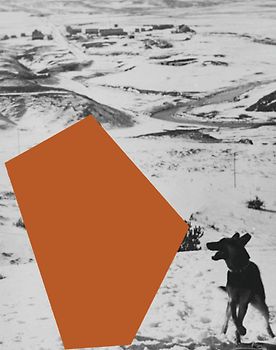 John Baldessari Wien/Graz