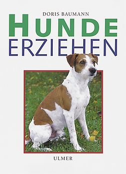 Hunde erziehen