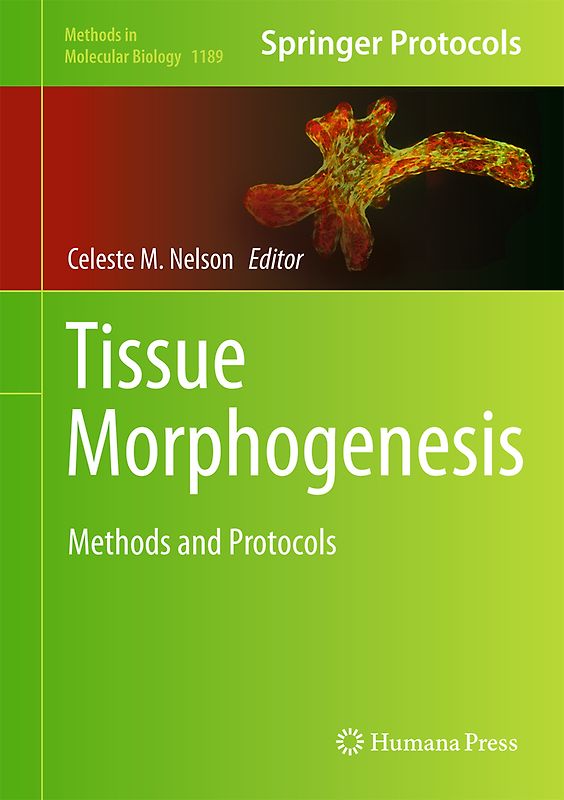 Tissue Morphogenesis
